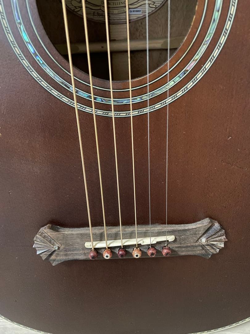 Washburn アコースティックギター ハードケース付き　つるの剛士サイン入り