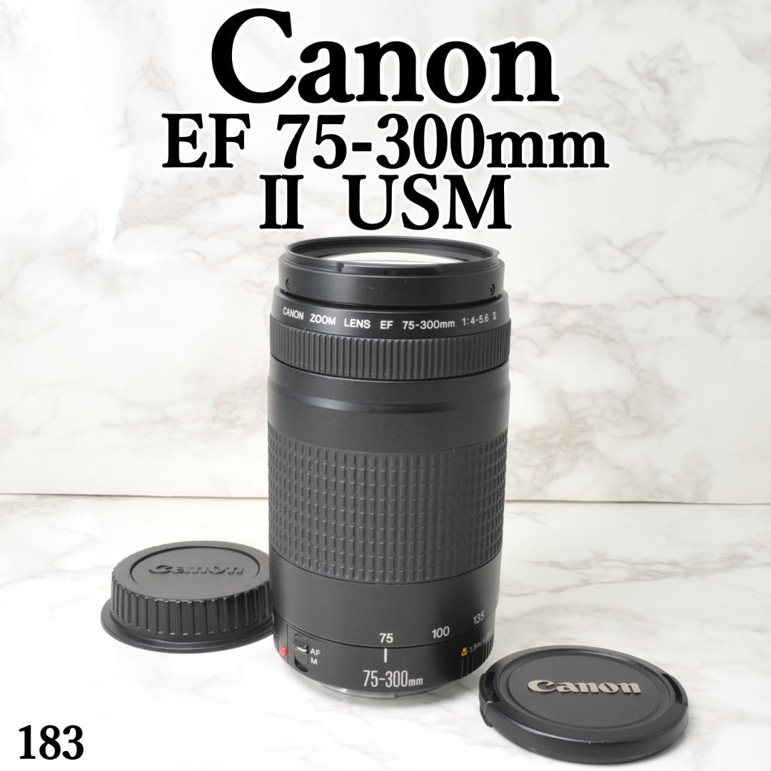 Canon EF 75-300mm F4-5.6 Ⅱ USM⭐️望遠レンズ