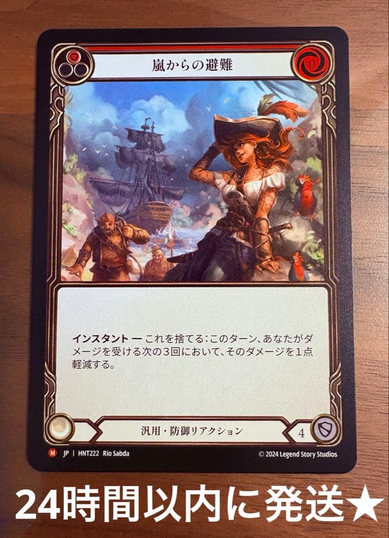 嵐からの避難 NF M HNT222 FaB