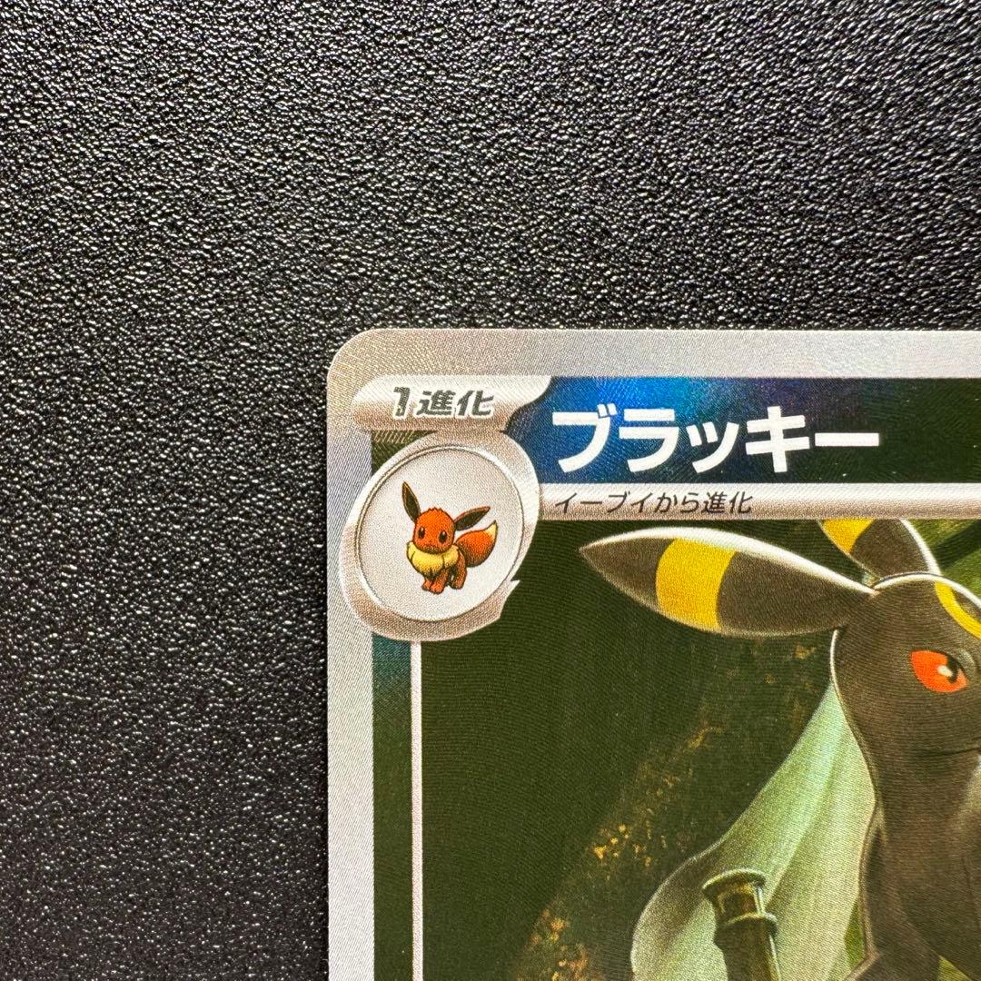 テラスタルフェスex/ブラッキー/マスターボールミラー