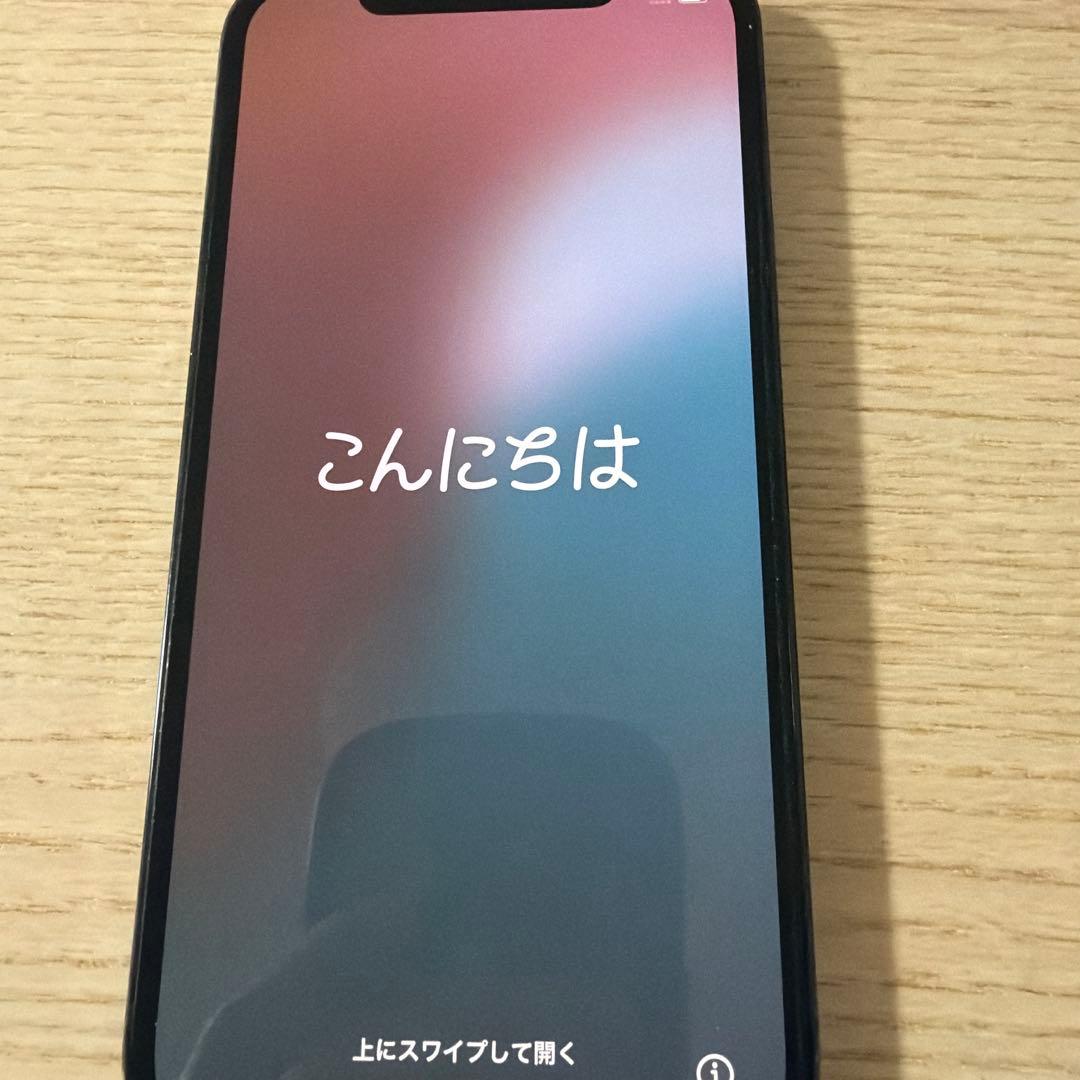 Apple iPhone 12 Pro 本体