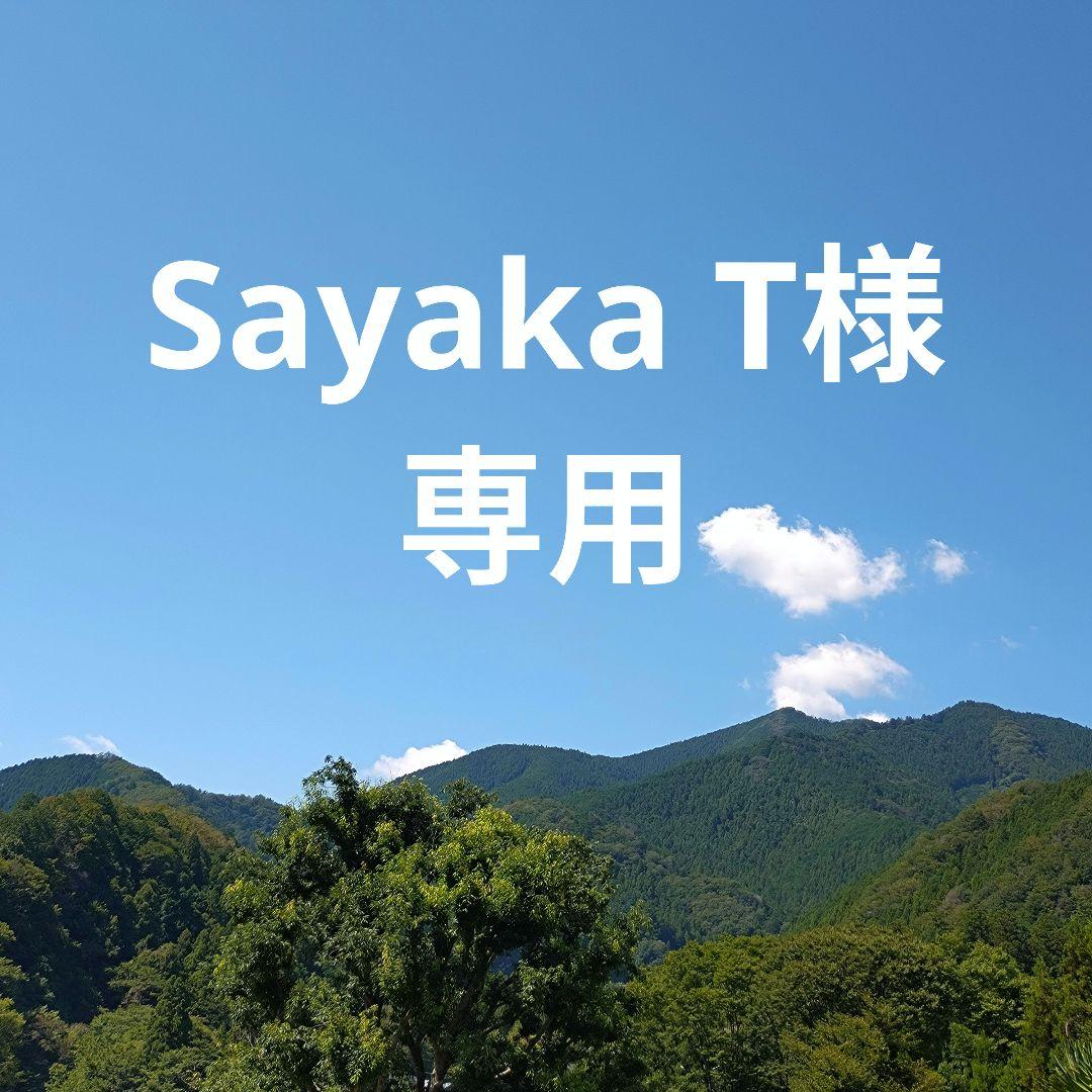 未使用 フィロソフィ キラキラバゲットバッグ PAW (パウ) / シルバー