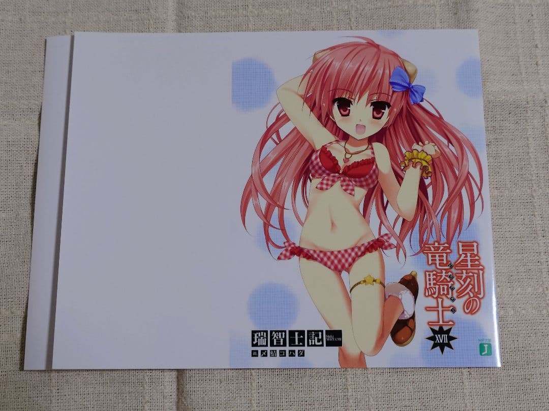 星刻の竜騎士（ノベル版）特典ブックカバー　8枚セット