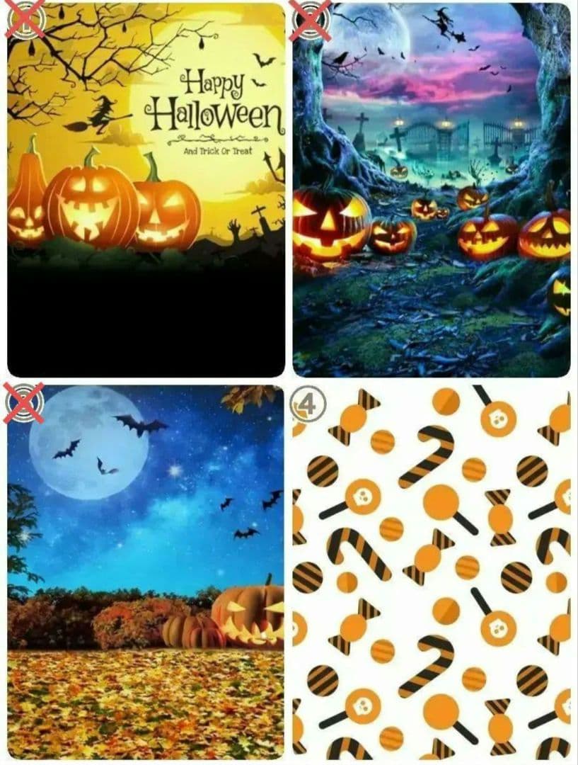 背景布ハロウィン　ペット撮影用フォトブース　業務用トリミングチョーカー販売中