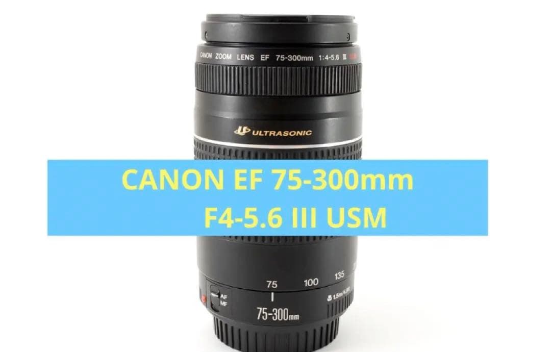 デジタル一眼レフカメラ　Canon EF75-300 USM