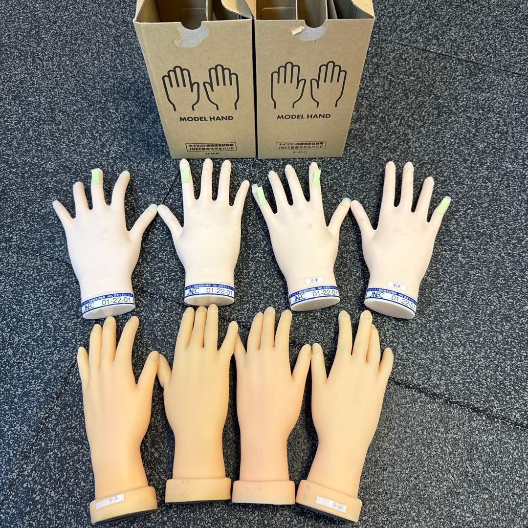 ネイル検定用ハンド　滝川 STモデルハンドセット2、練習用ハンドセット2、