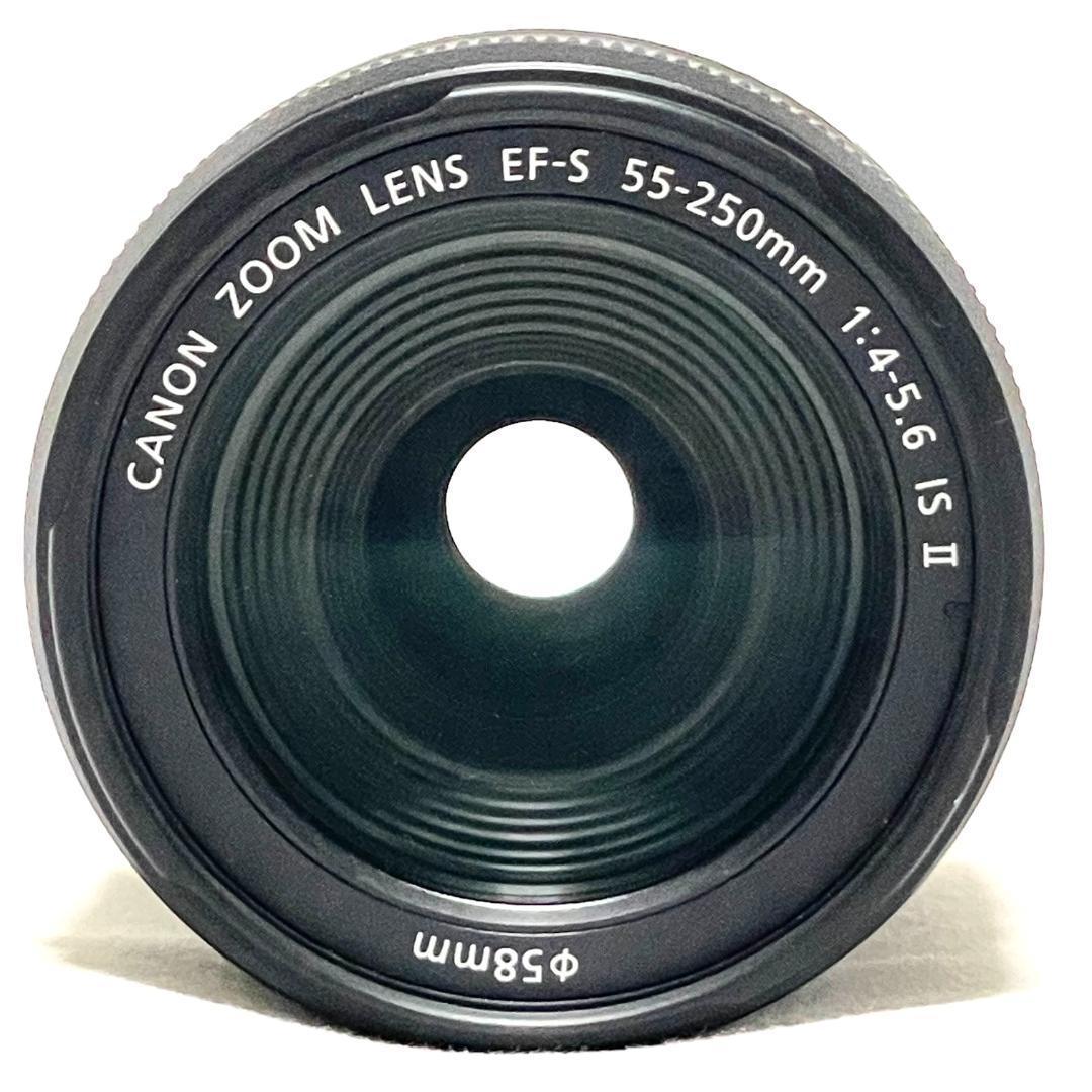 野鳥も撮れる❣️ Canon EF-S 55-250mm IS II 望遠ズーム