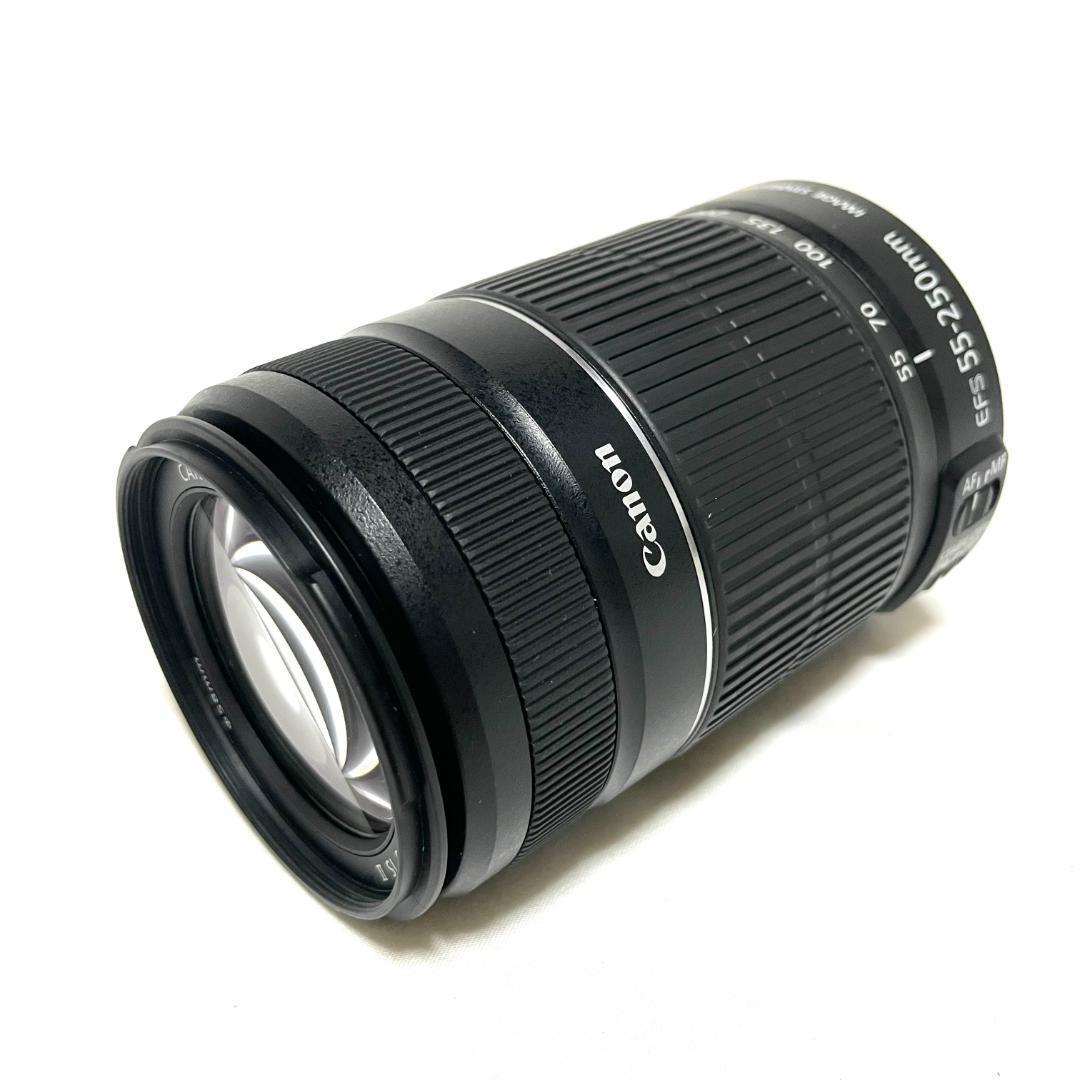 野鳥も撮れる❣️ Canon EF-S 55-250mm IS II 望遠ズーム