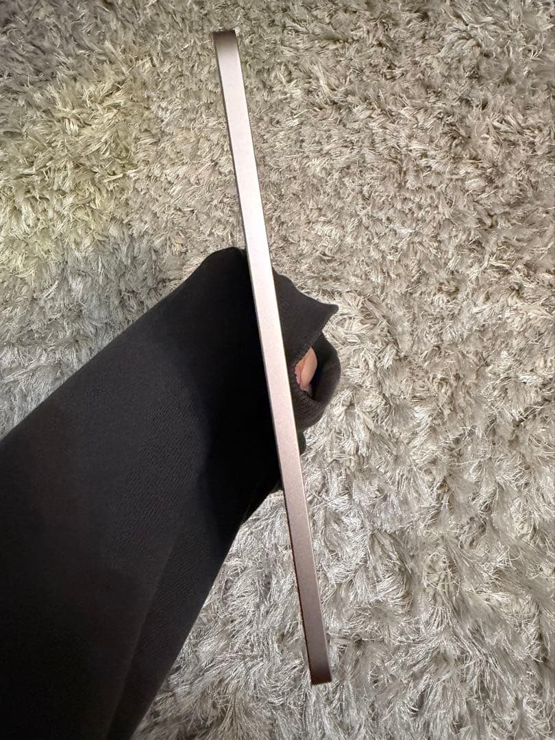 ipadmini6 / 256GB / Wi-Fiモデル / ピンク