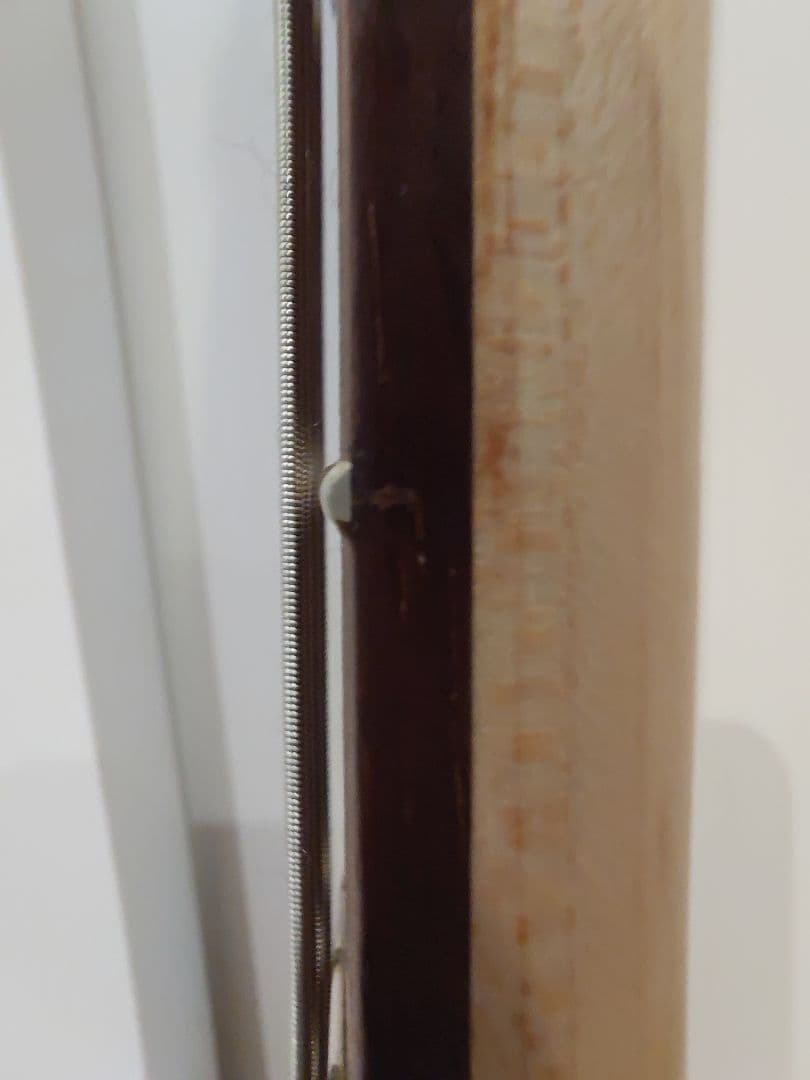 Ibanez アイバニーズ 4弦 (マホガニー・オイル) GSR100EX-MO