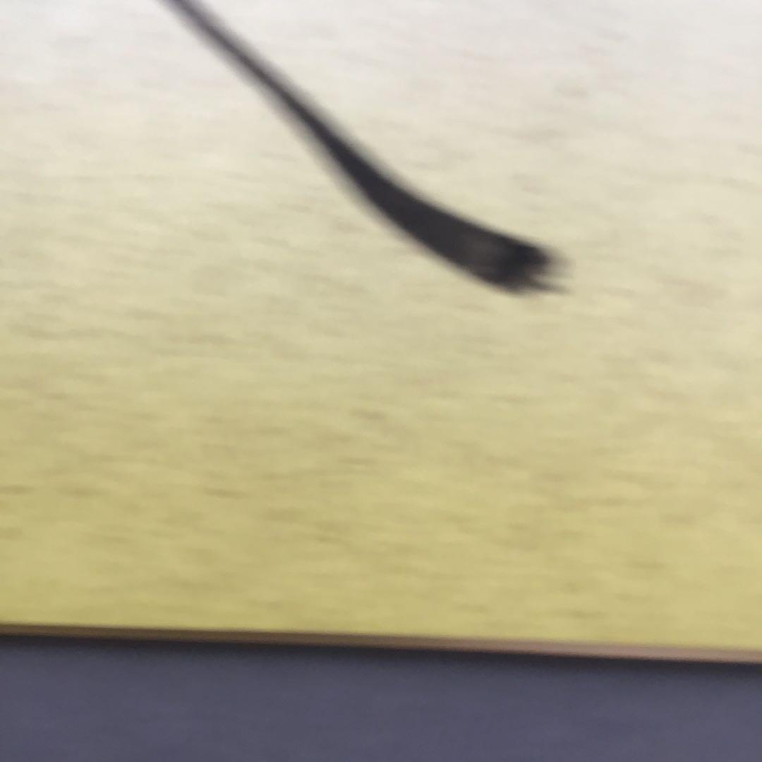 ⭐️色紙　「寿」と山の絵　畳紙　配送用袋　S1032SS