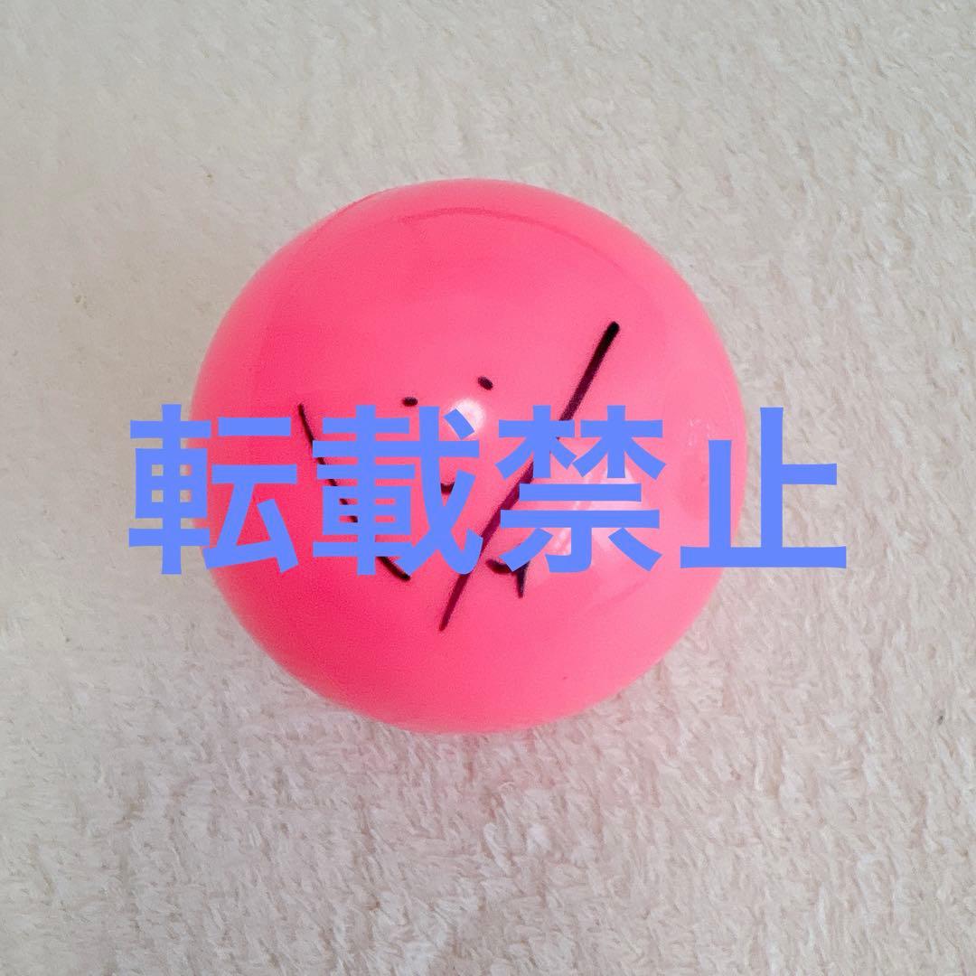 StrayKids SKZ TOY WORLD サインボール