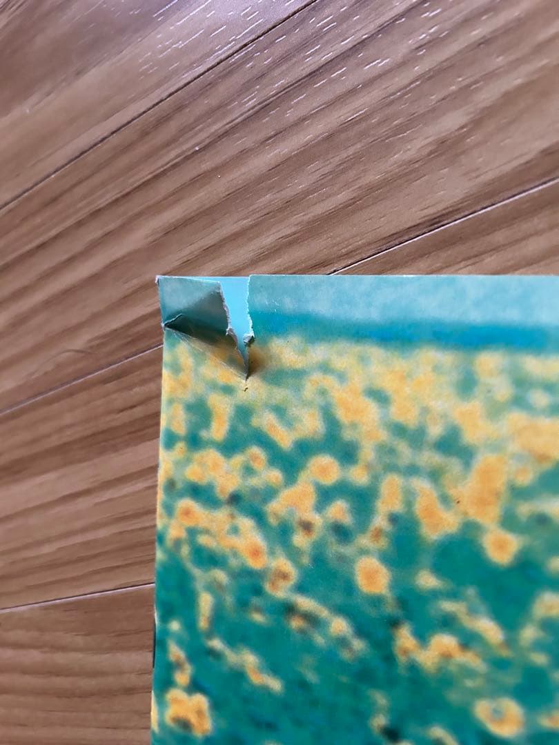 オフコース書籍　写真集　楽譜セット　おまけ付