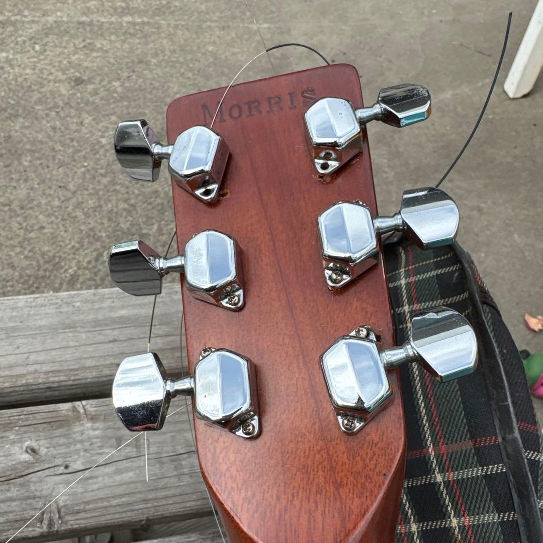 Morris モーリス W-25 アコースティックギター