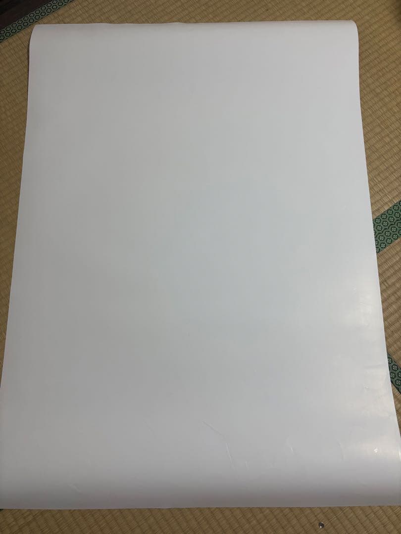 Supreme x Playboi Carti 25FW ポスター 1枚