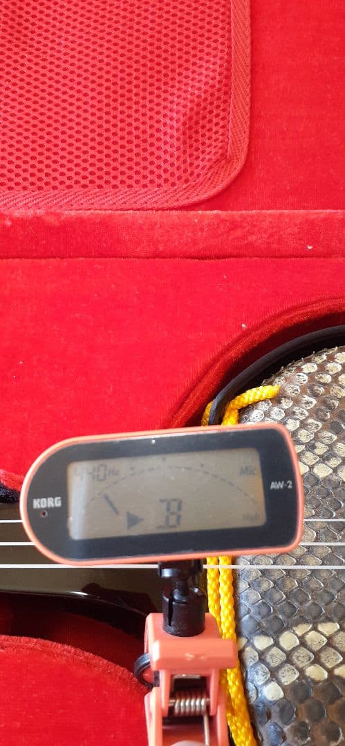 高級品沖縄三線豪華セット②☆ケース付属品多数☆両面本ヘビ革本蛇革リアルスネーク