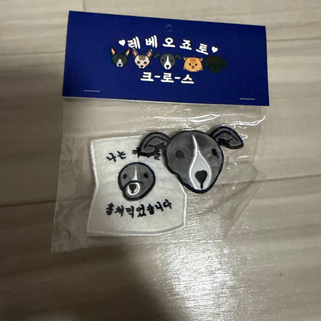 WINNER 韓国 公式 グッズ バックチャーム ブローチ カチューシャ セット