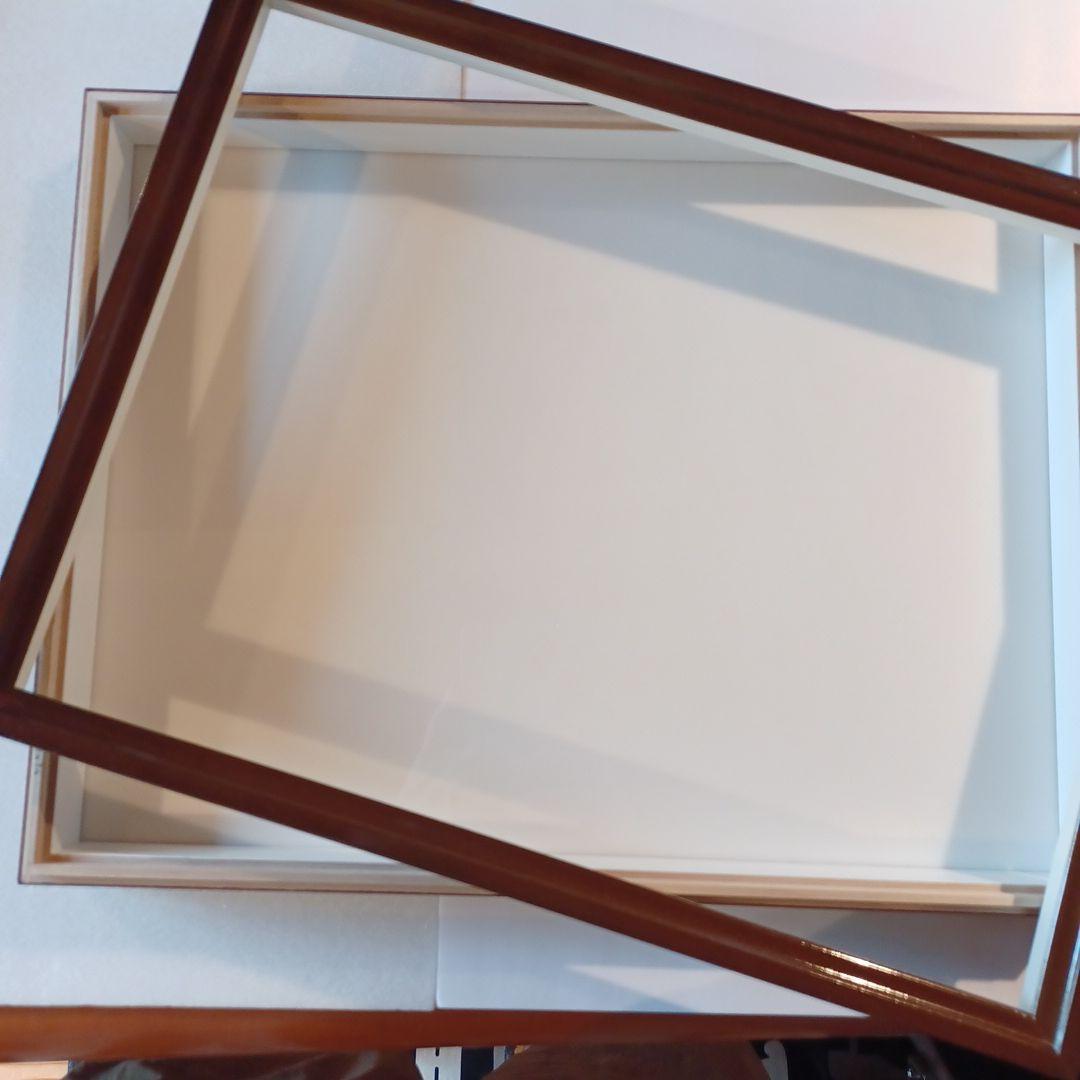 標本箱　ドイツ箱中型　2個セット