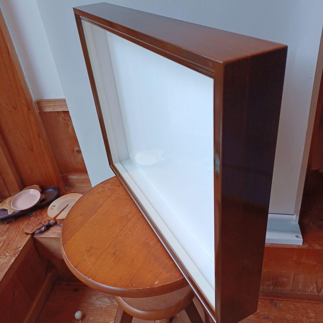 標本箱　ドイツ箱中型　2個セット