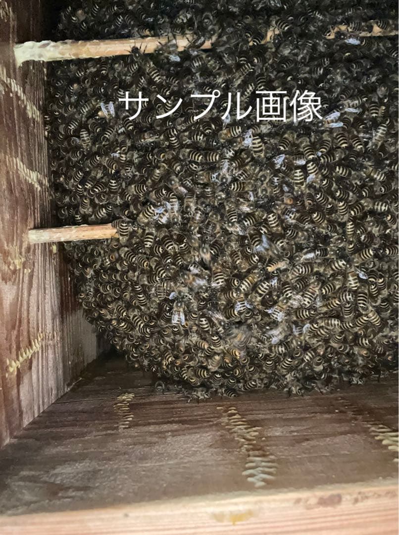 日本蜜蜂重箱式巣箱ハニーズハウス！超訳あり特価！ニセット！送料無料！
