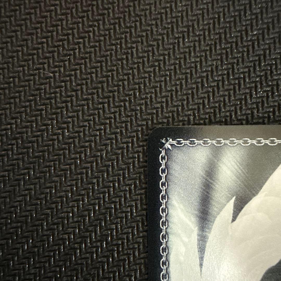 ヴァイスシュヴァルツ　精神的露出狂　アーリャ　SP サイン 角川スニーカー文庫