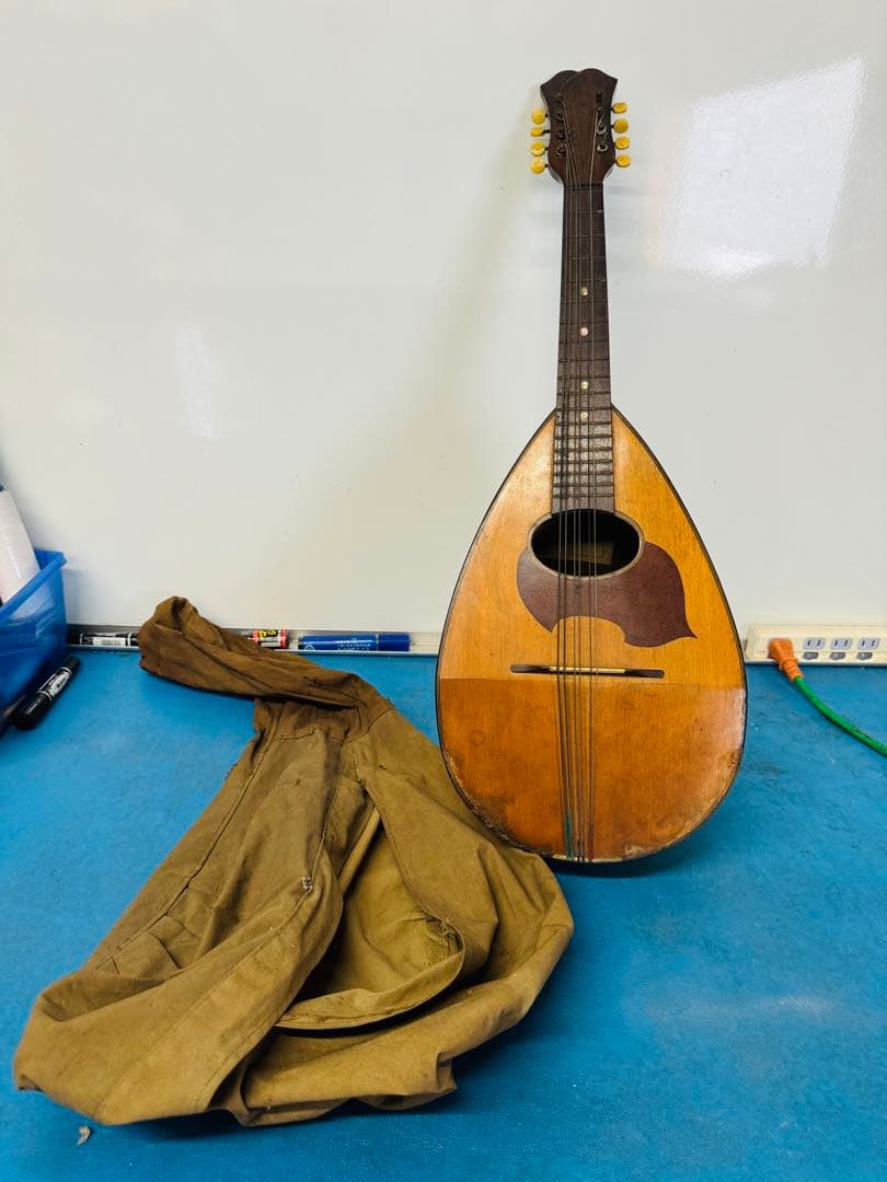 SUZUKI 鈴木 バイオリン マンドリン 日本製 楽器 弦楽器 入門 音楽