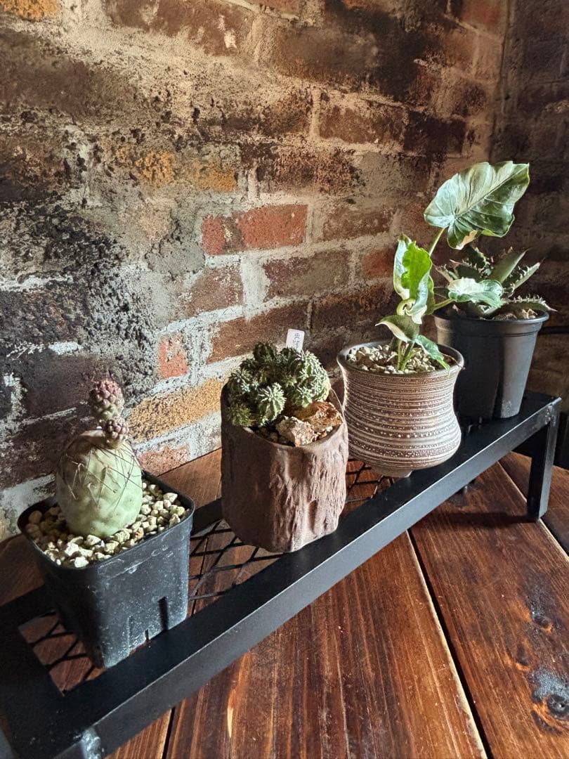 アイアン棚 アイアンシェルフ　即納可能