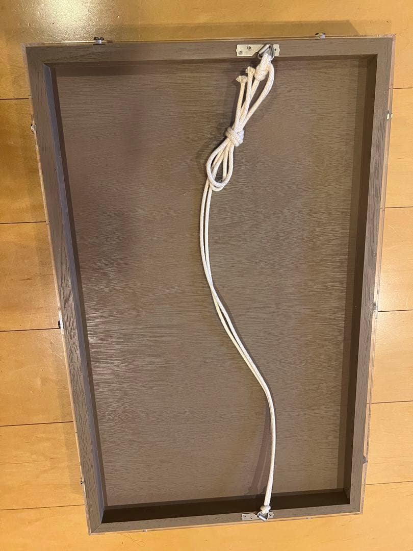 ダリ　ART アクリル額装