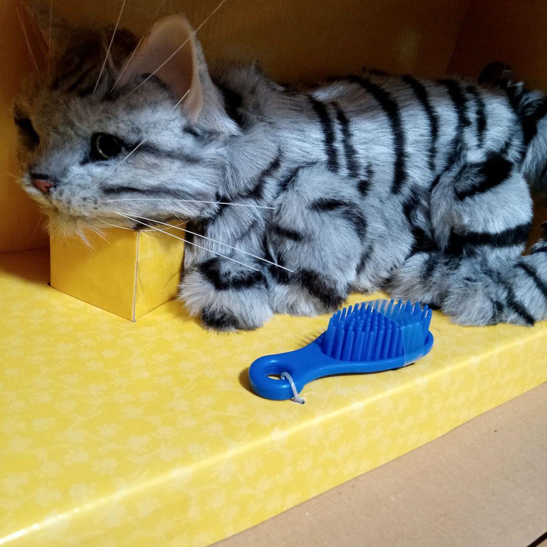 夢ねこ♡アメリカンショートヘア♡あなたのパートナー！　【新品未開封】