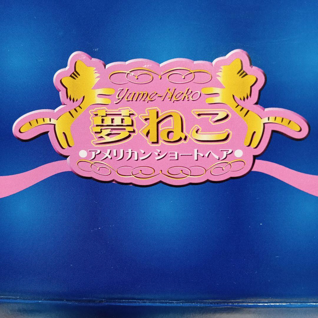 夢ねこ♡アメリカンショートヘア♡あなたのパートナー！　【新品未開封】