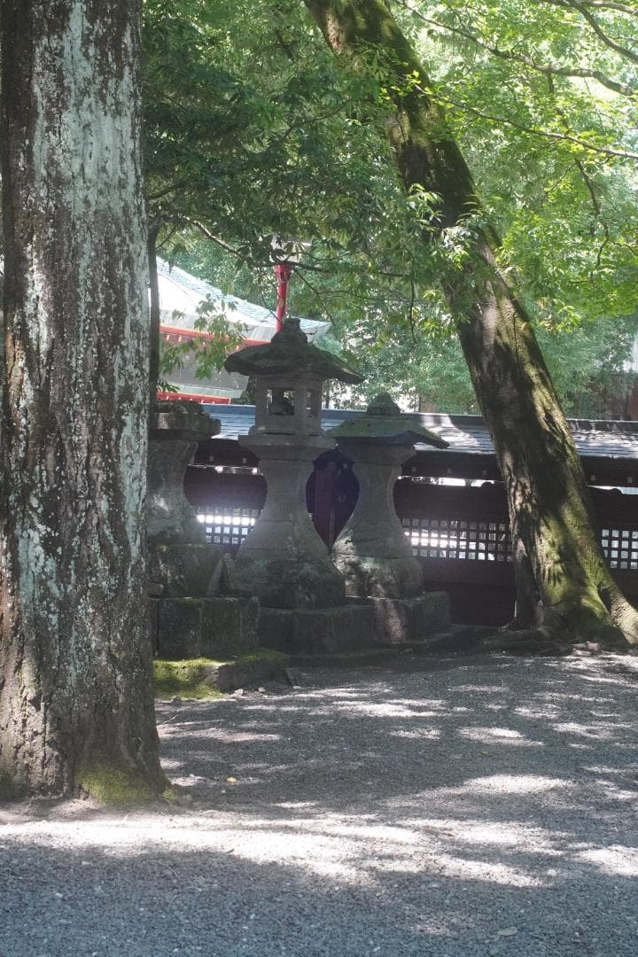 オリンパス OM-1 / OM-SYSTEM G.zuiko 50mm F1.4