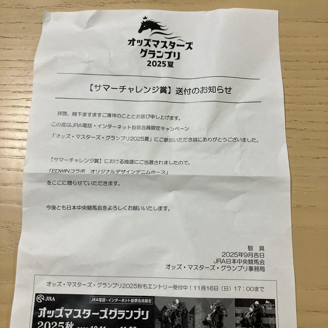 限定300体 EDWINコラボ オリジナルデザインデニムホース ドウデュース