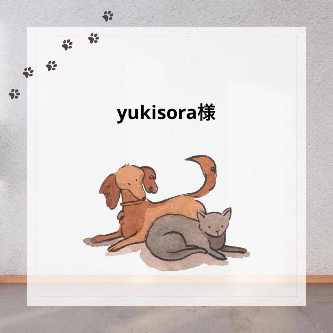 yukisora様