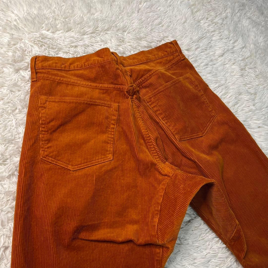 Der SAMMLER Solo × TTR 21AW WALTER PANTS