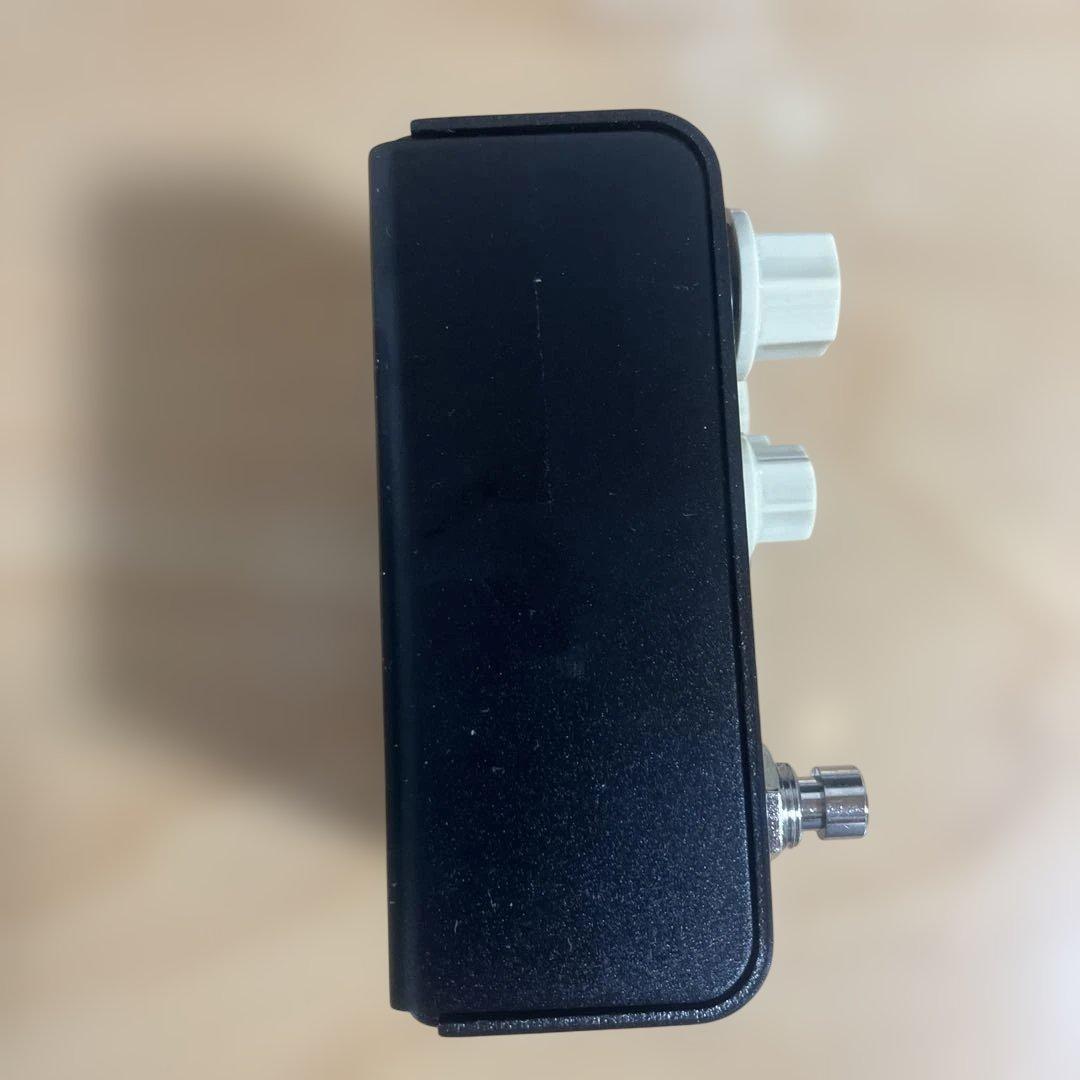 Strymon FLINT トレモロ & リバーブ