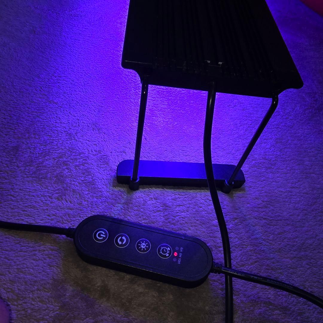 ボルクスジャパン Grassy Legna Marine 60cm