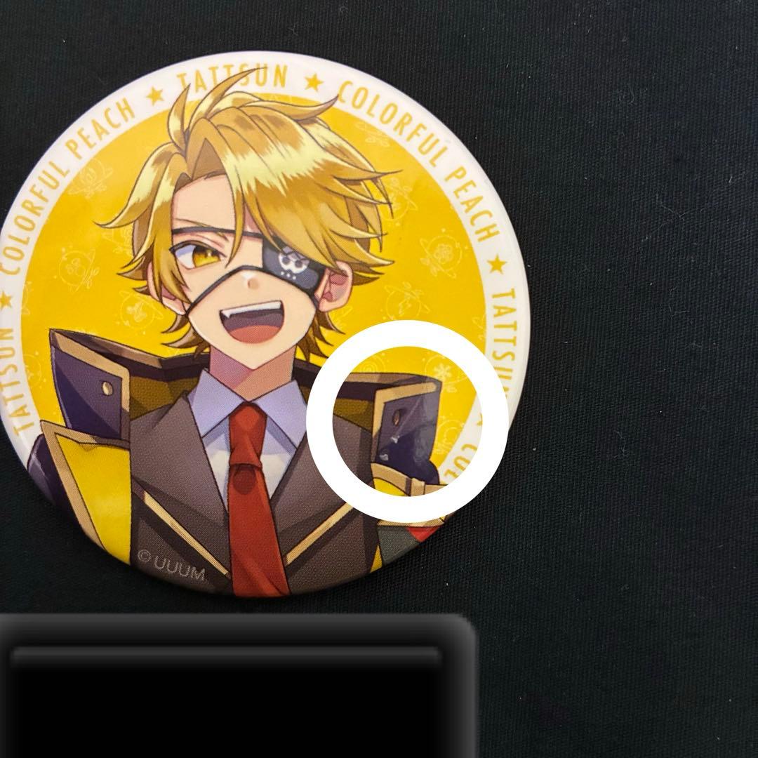 からぴち たっつん 魔法学園 缶バッジ