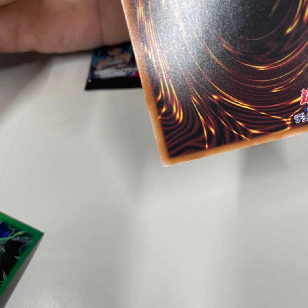 【絵違いプリシク】ドラゴンメイドのお心づくし