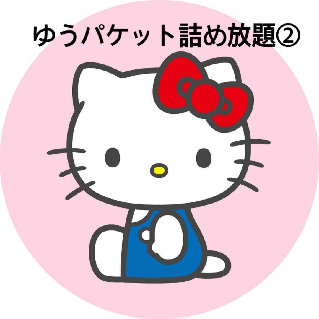 ゆうパケットポスト詰め放題②