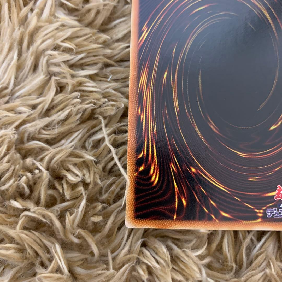 万物創世龍　アジア