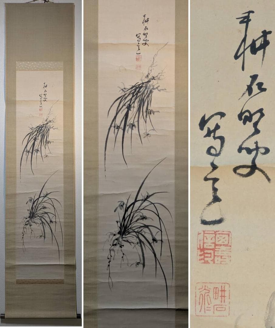 【真作】掛軸　墨蘭図　気品ある蘭の水墨画　静謐な気韻　高潔を描いた蘭図　T15