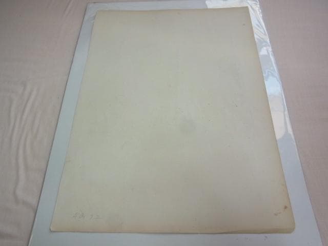 1865年銅版画◆フランス ファッション誌『ラ・モード・イリュストレ』No.49