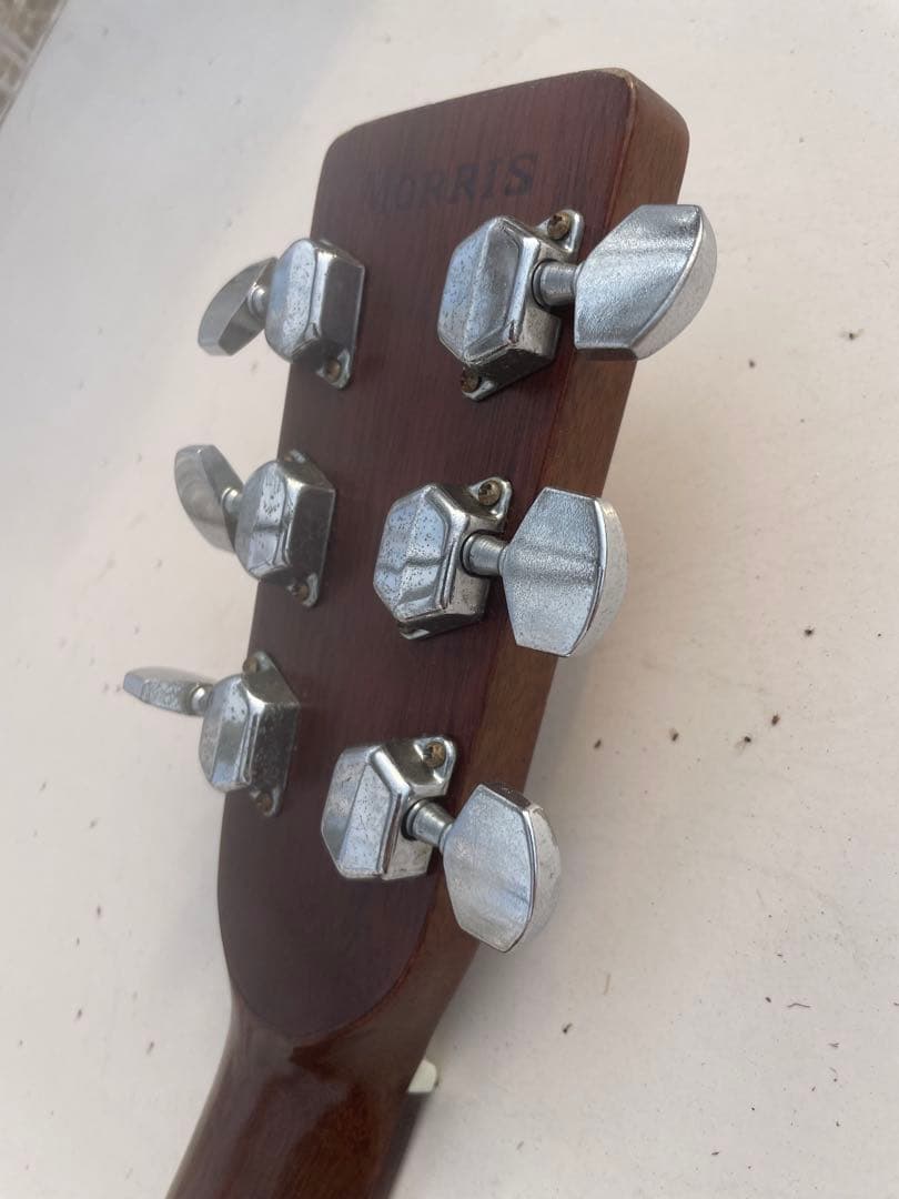 Morris W-20ギター