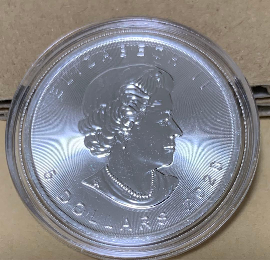  メイプル1oz オーロラ・狼