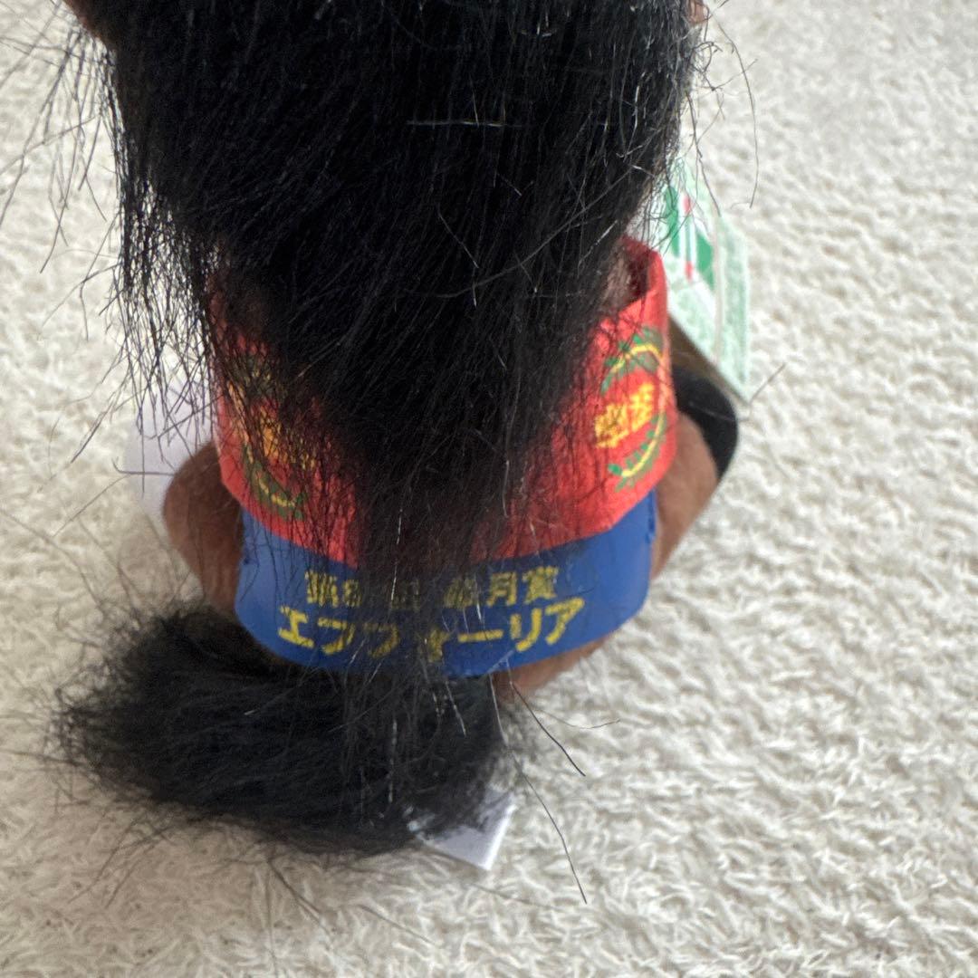 アイドルホース　エフフォーリア