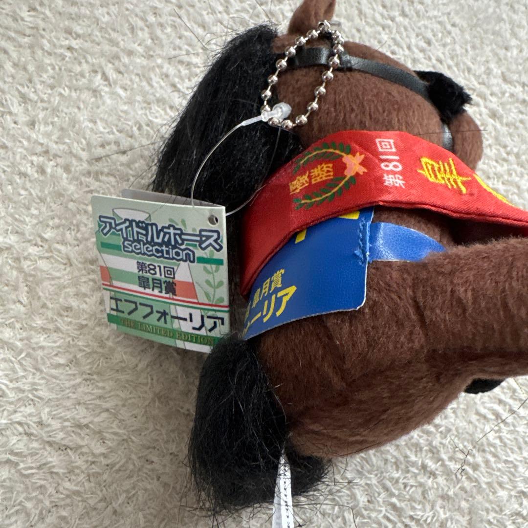 アイドルホース　エフフォーリア