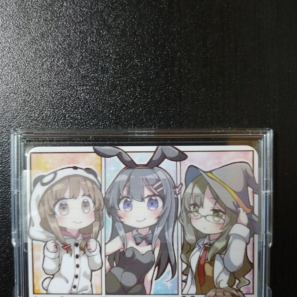 【希少】青ブタ 泡沫の存在 桜島麻衣 SP 海外Ver