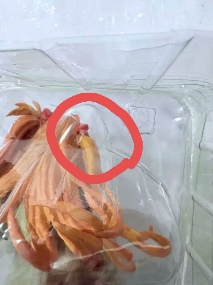 エヴァンゲリオン アスカ フィギュア　破損有