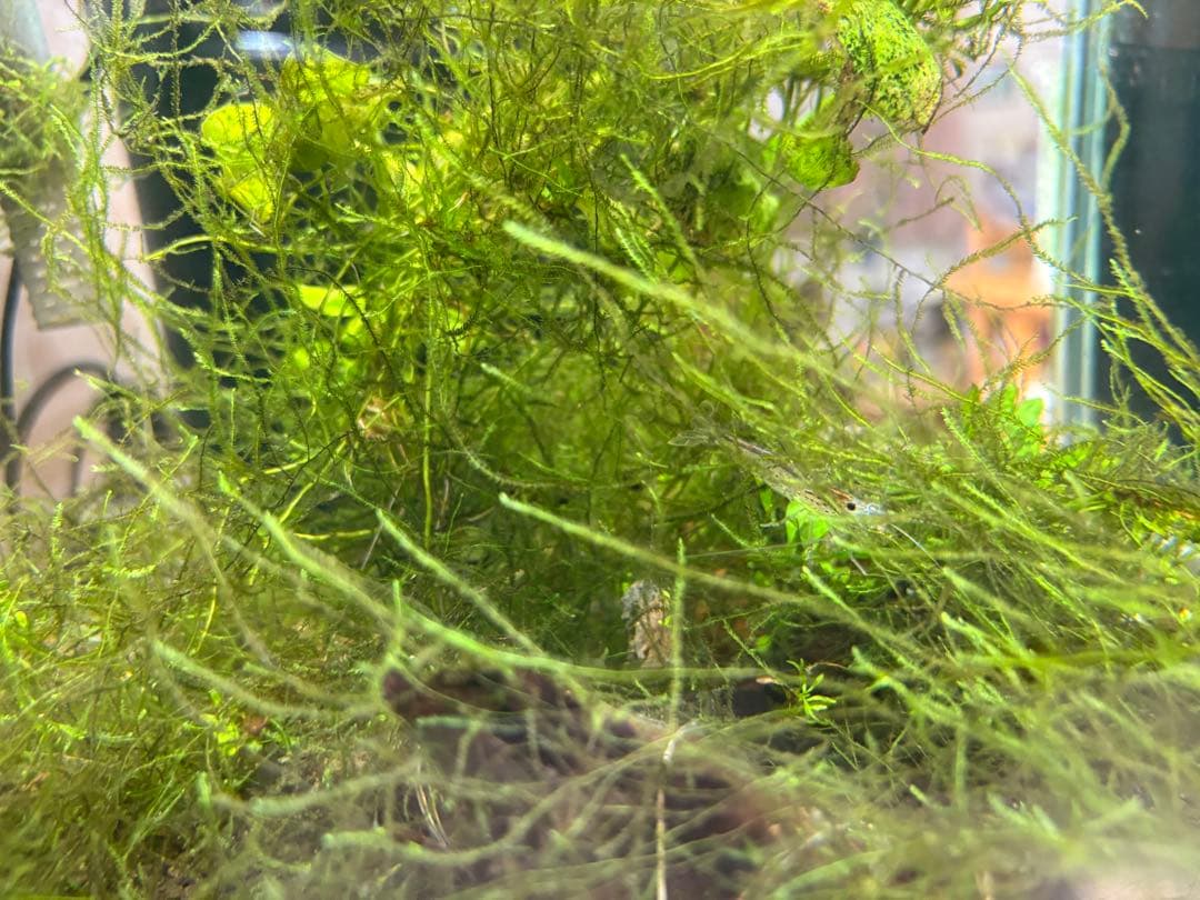 水槽フルセット　引き取り限定