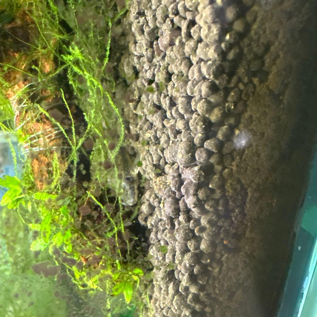 水槽フルセット　引き取り限定